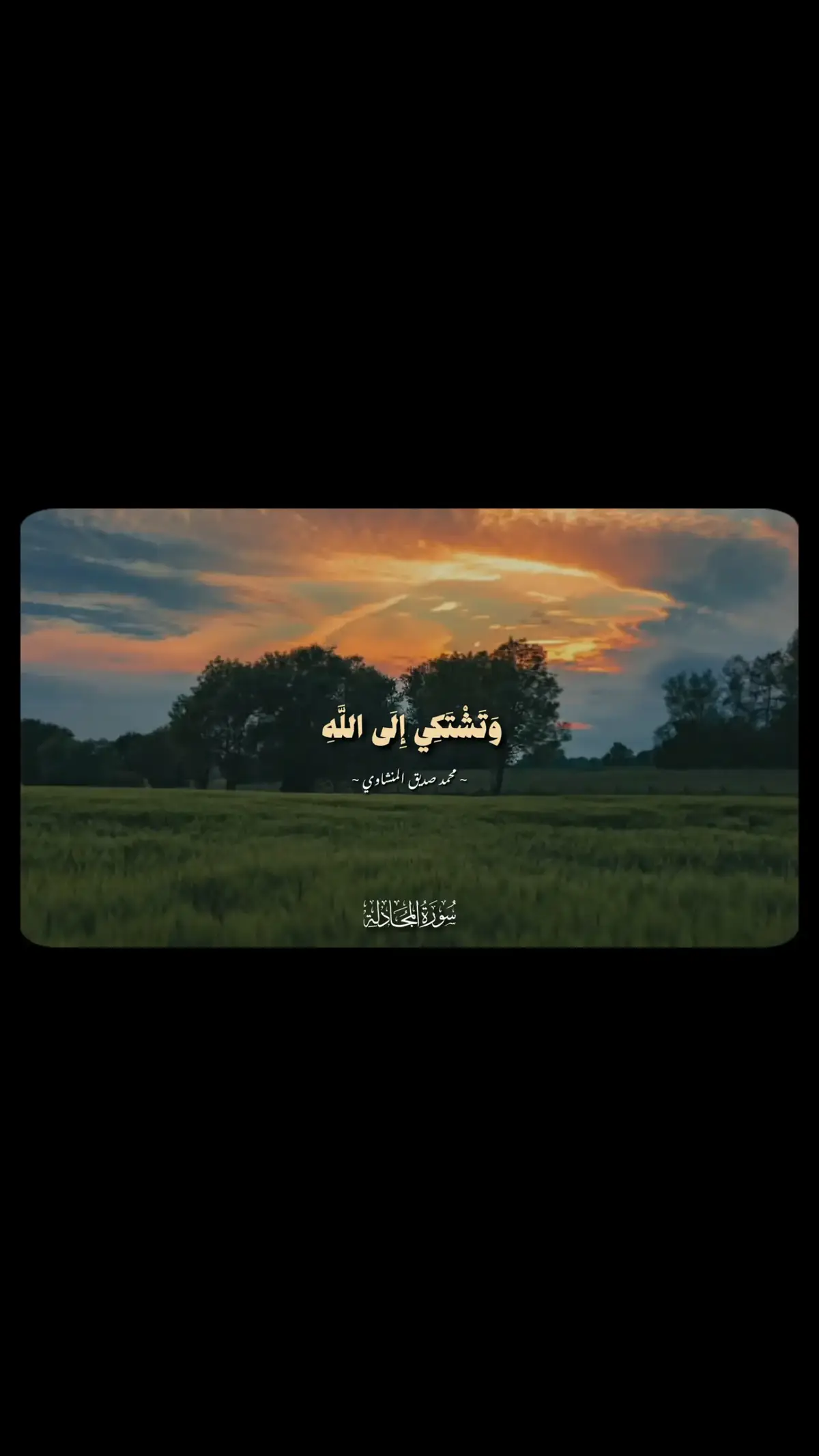 #تلاوة_خاشعة_تريح_القلب_والعقل🎧😴 #راحه_وطمأنينه_للقلب #أرح_سمعك_بالقرأن #fyp #🍀🍀🍀 