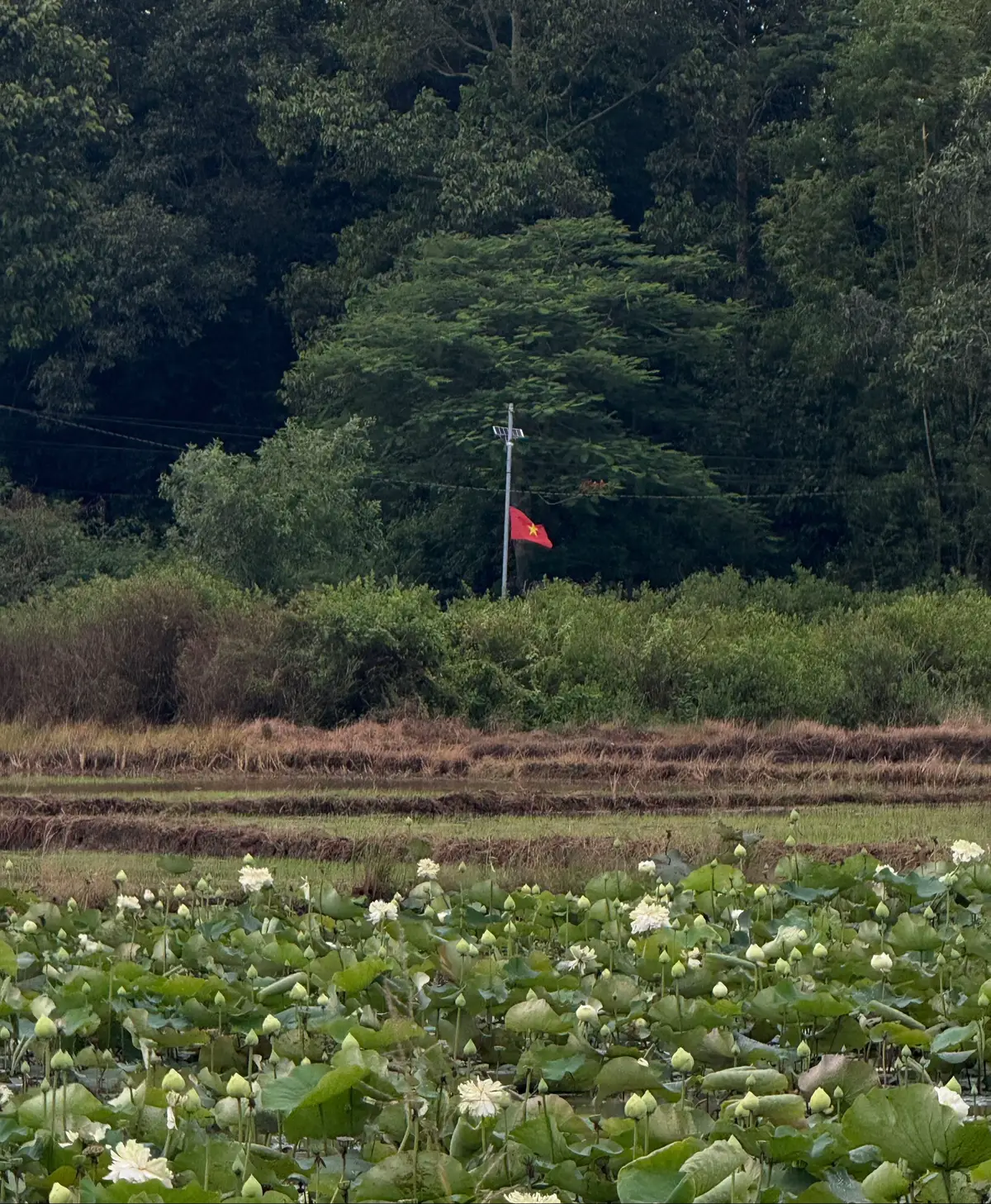 #travinh  #langvanhoadulichkhmer #aobaom #dulich #hoabinh 