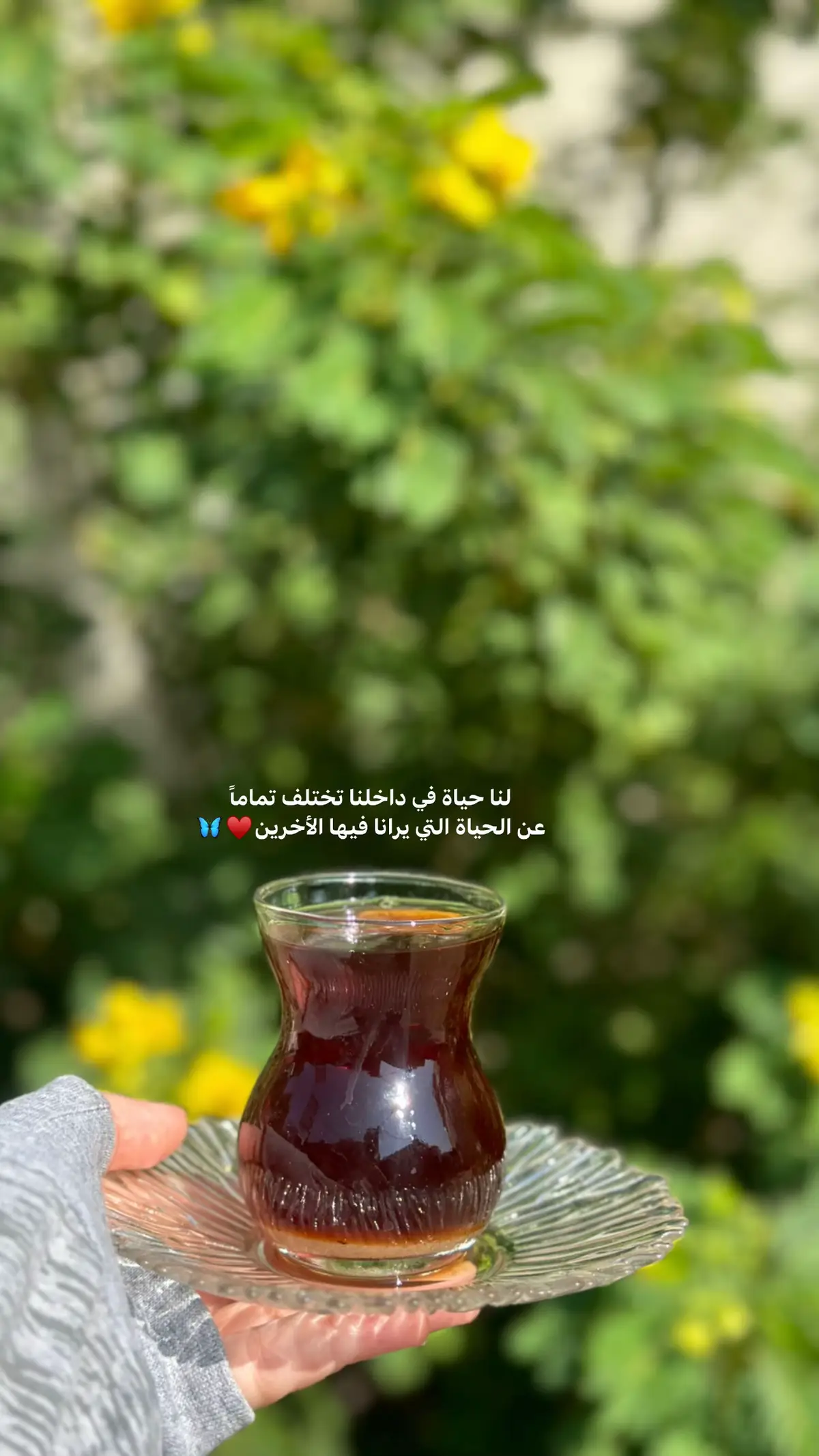 #صباح_الخير #راحه_نفسيه #اكسبلورexplore #لايك__explore___ #شاي 