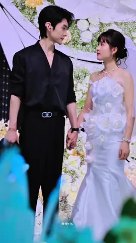 #wangyilei #zhaiyiying #fyp #shortdramachines 