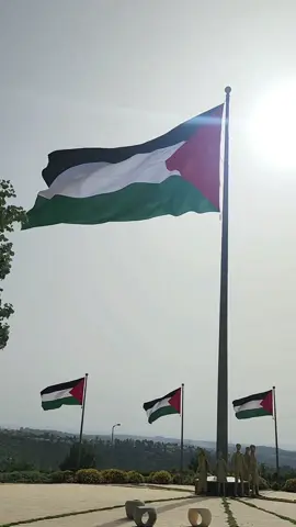 Ya Allah, berilah makanan kepada penduduk Gaza daripada kelaparan dan amankan mereka daripada ketakutan.. #prayforpalestine #savepalestine #fyp 