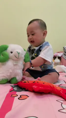 Ada ikan,ada kambing, mau hewan apa lagi sayang?😁 #masyaallahtabarakkallah #babylove #fyppppppppppppppppppppppp 