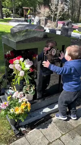 Ce garçon pleurait chaque jour sur la tombe de sa mère, la suppliant de l’emmener avec elle… Jusqu’au jour où quelque chose d’incroyable s’est produit.#histoirevrai #AprendeConTikTok #mère #enfant 