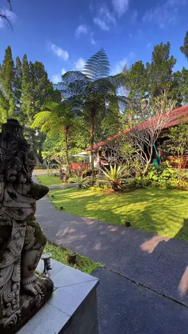 #اندونيسيا #بونشاك #اندونيسيا🇮🇩 