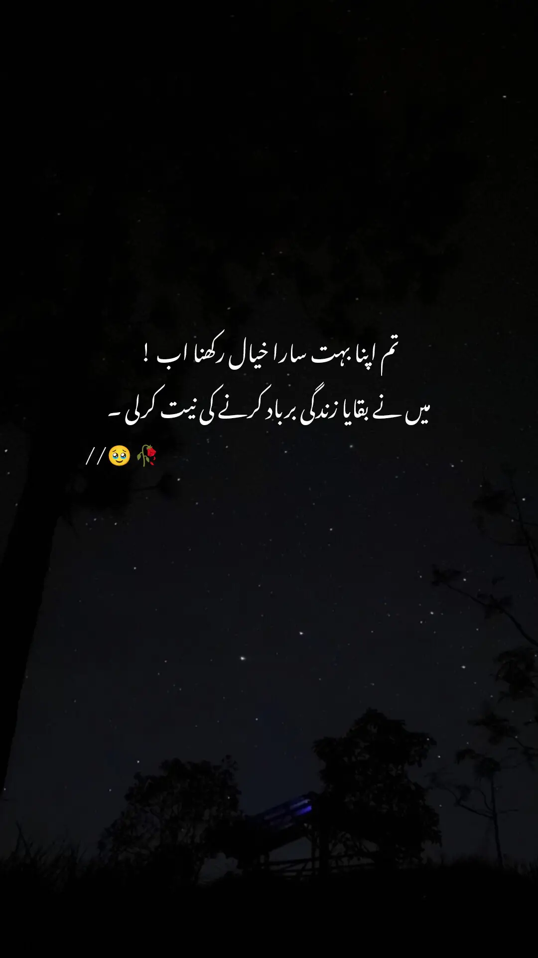 Lines 🥺💔 #poetrystatus #fyp #foryou #foryoupage #hani___00 