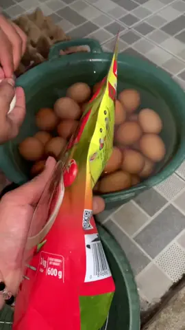 Masak Telur Balado Praktis cuma Pake Bumbu saos balado dari Indofood Coba Guys #indofood #saosbalado 