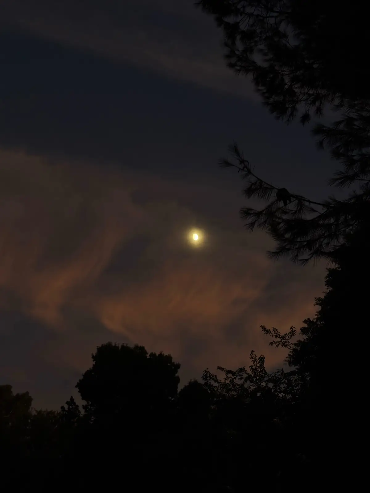 August recap  💫 #fyp #photodump #memories #cute