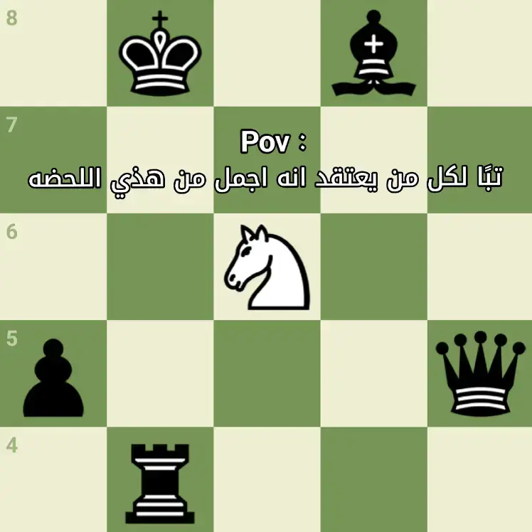 #شطرنج #Chess #bobyfisher #شطرنج_العرب #chesstiktoker 