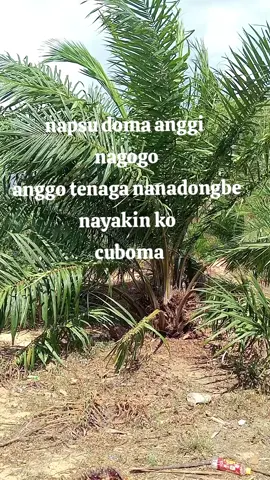 yakindo Ngada😂 #fypppppppppppppppppppp #sihiuk_padanglawas 