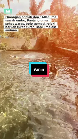 #CapCut #amin #fyppppppppppppppppppppppp @WILLIE SALIM #wsarmy 