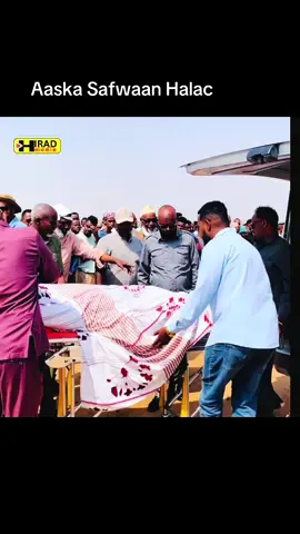 Aaska Safwaan Halac