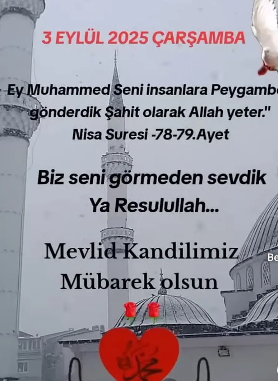 #, Resulullah efendimiz sallallahu aleyhi ve sellem buyurdular Beni görüp de bana iman edene bir defa Müjdeler olsun Beni görmeden bana iman eden kimseye de yedi defa Müjdeler olsun ( Müsned_İ  Evi  Ya, la)  🤲🩷🩷🩷🩷🌹🌷🌹🌷