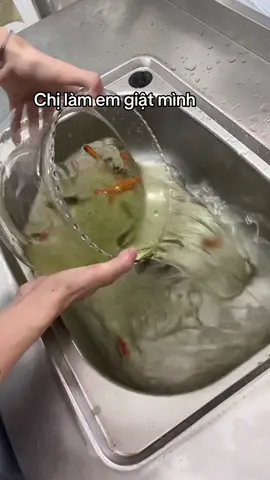 Chị dâu lâu lâu đảm đang #cá#video#xu 