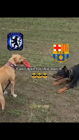 Chelsea vs Barcelona #ucldraw #ChelseaFC #barcelona #championsleague  #creatorsearchinsights 