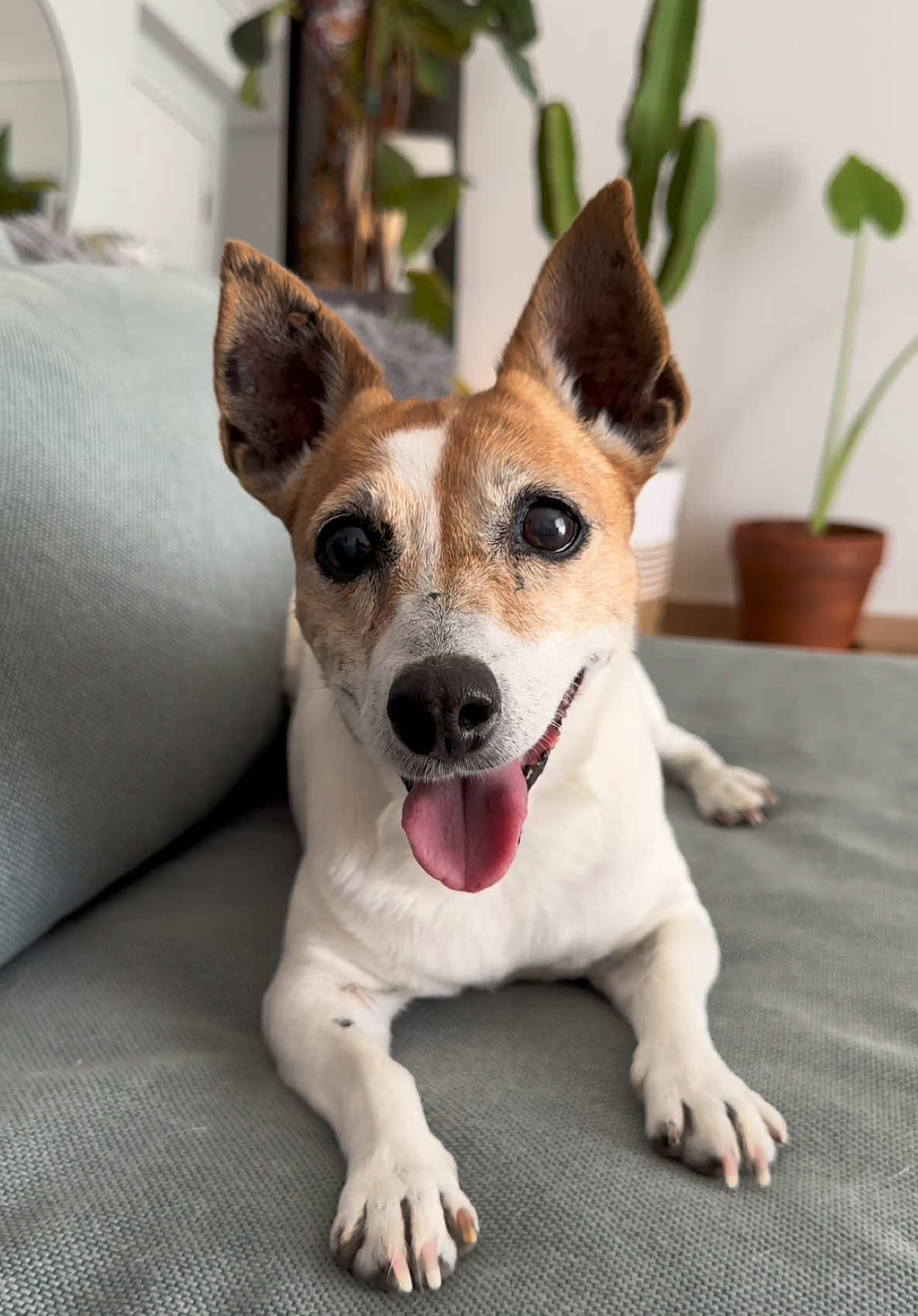 Θα χρειαστεί λέει χρήματα για κάποια έξοδα που της προέκυψαν! Τι λέτε να τα θέλει? Πάει πουθενά το μυαλό σας?