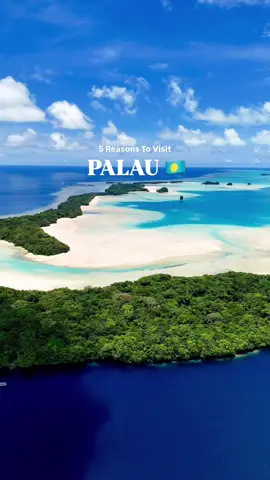 WOW, PALAU 🇵🇼 Just 6 hours from Brisbane, Palau feels like another world. Untouched, unspoiled and waiting to be discovered, it’s the kind of destination that stays with you long after you leave. Here are 5 reasons to make it your next escape: 🌿 Pristine Natural Beauty Made up of over 340 islands, Palau is known as Pristine Paradise. Think crystal lagoons, hidden caves and thriving ecosystems, all protected by the world-famous Palau Pledge. 🤿 World-Class Diving Discover some of the planet’s most extraordinary dive sites, where vibrant coral gardens and dazzling marine life create an underwater world unlike anywhere else. 🏝️ Luxury Resorts Unwind in style at luxurious escapes like Palau Sunrise Sea View Landison Retreat and Palau Pacific Resort, where overwater villas, oceanfront pools and world-class hospitality meet unmatched island serenity. 🚤 Adventure Activities Kayak through limestone islands, trek to waterfalls, snorkel vibrant reefs or hike jungle trails. Palau is a playground for thrill-seekers and nature lovers alike. 🌺 Rich Culture & History Experience Palau’s unique matriarchal traditions, join cultural tours and uncover the stories that bring the islands’ heritage to life. Dreaming of paradise? Head to the link in our bio to book your Palau escape today! @visitpalau #VisitPalau #PristineParadise #Palau #LuxuryEscapes #Micronesia #TravelTok #BucketList #HiddenGem #TravelGoals #TravelTrend 