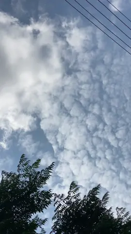 #likes #reposts #followers #comments #views 