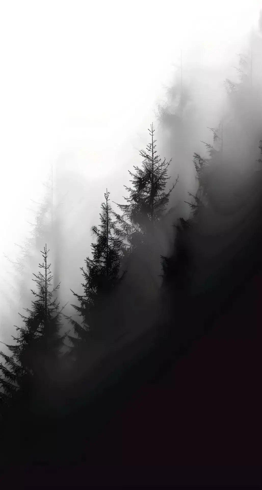 #rain #wellpaper #black  #white #goodvibes 