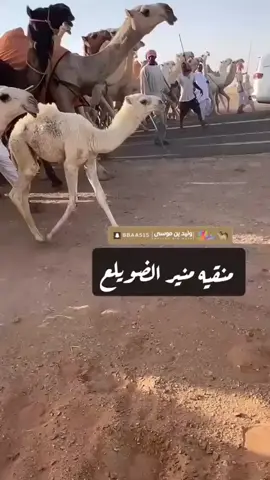 #وليد_بن_موسى💥 #اكسبلور_تيك_توك #اكسبلوررر 