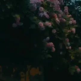 ✮ #letdown #radiohead #edit #lyrics #اكسبلور #fyp 