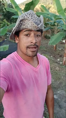 Tropa de quem assiste esse vídeo até o final você vai ter sucesso#creatorsearchinsights 