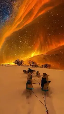 Coldest Place On Earth #antarctica #snow #knowledge #viral #foryou 