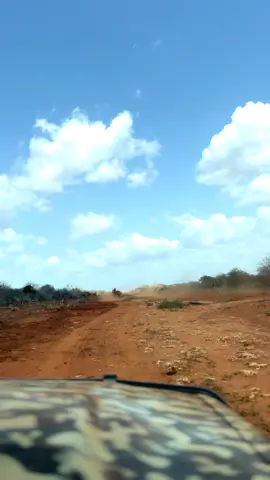 Wiilka Dharka marey waa ani wadankiisa u dhiman wa ani ##jubbaland #birjeexarmy🇺🇿🇬🇲🔫 #kismayotiktok 