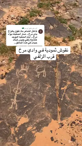 الرد على @ابو بدر🇸🇦 #وادي_مرخ #الزلفي