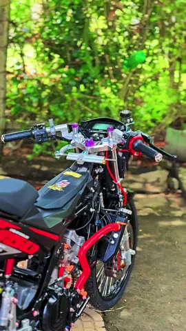 Xe làm ở đâu dọn shop nào là câu rất nhiều ae nt hỏi em . Thế em trả lời luôn là xe em tự lên mua đồ về lắp tự mua đồ về dọn tự làm theo ý mình nên không có shop nào ở đây cả 🥰🥰🥰#satriaf150 #trendingtiktok #xuhuongtiktok #xuhuong 