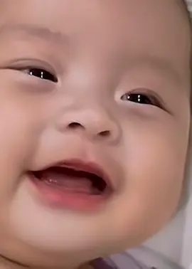 #babybear #beyeu 
