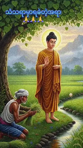 #ပါချုပ်ဆရာတော်ဘုရားကြီး၏အဆုံးအမ #တရားတော်များ #ဗုဒ္ဓဘာသာ #🙏🙏🙏 