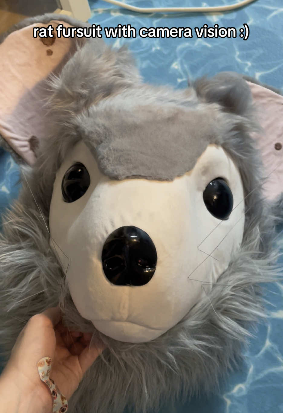 nibbles is the second rat fursuit i have made! he is now owned by @-`minhicoon´-  it has a camera in the nose and a mini screen inside for the wearer to have better vision without compromising the looks of the suit #fursuit #fursuitmaker #furry #furryfandom