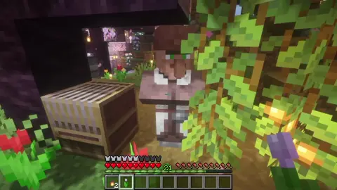 Đến dân làng còn ghét  #Minecraft 
