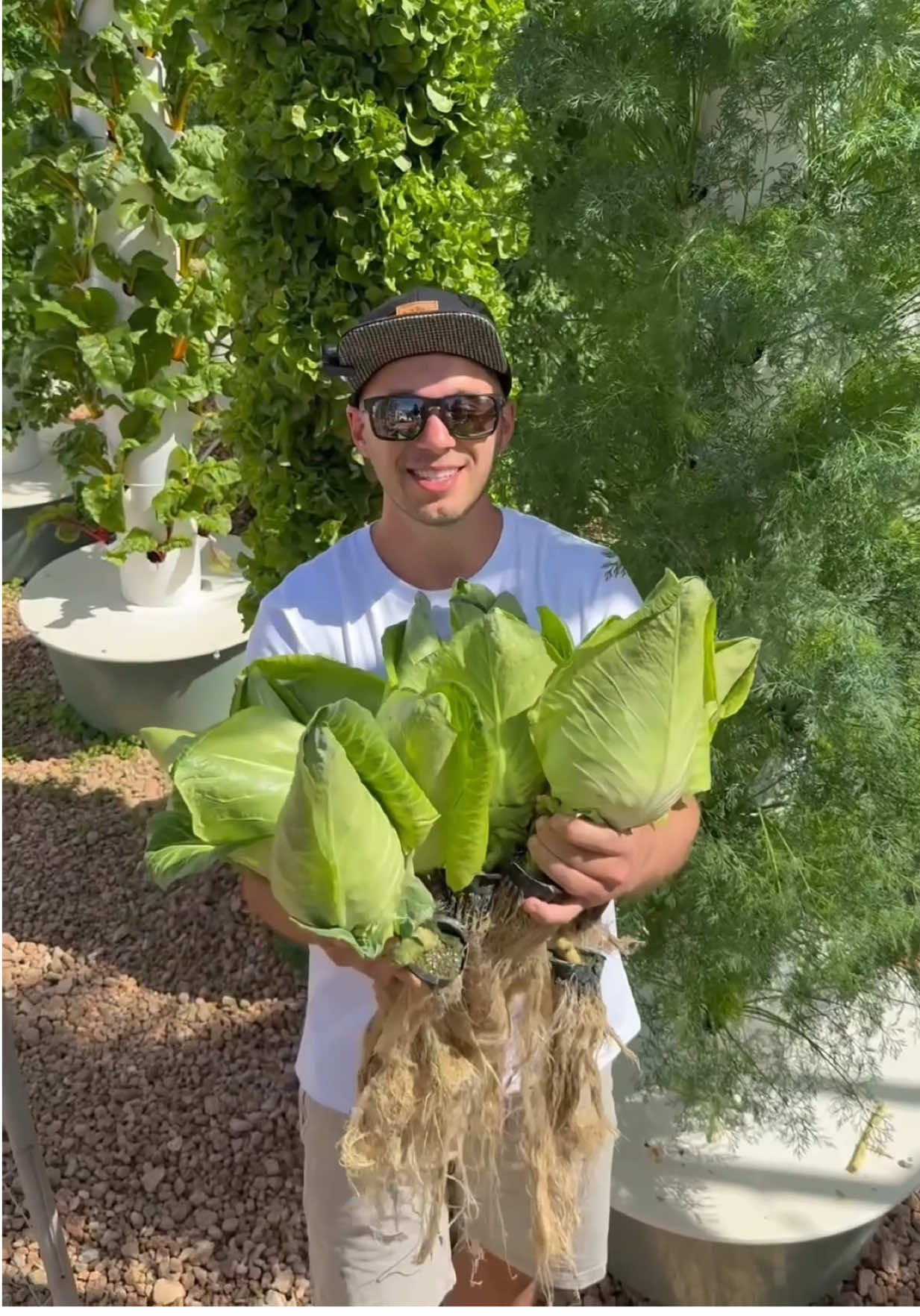 Vertical farming cabbages, celery, and leeks on aeroponic towers. These are just a few examples of the hundreds of different crops that can be grown using this method of farming.  #cabbage #celery #leeks #farming #agriculture #gardening #aeroponics #hydroponics
