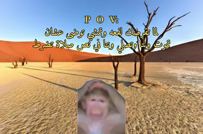 والله تضحك صح ؟ #fyppppppppppppppppppppppp #foryou #fyp #viral #ترند_تيك_توك 