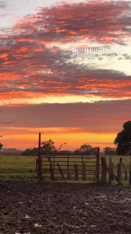 Ya viene el amanecer 🌅 #llanosorientales #casanare #amanecer #venezuela🇻🇪 @Jorge F. Guerrero S. @El Guerrero Jorge oficial 