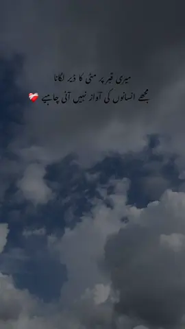 مٹی ڈیر ساری ڈالنا 🤌🏻🥺 #1millionaudition #viewsproblem #accountfreez #unfreezmyaccount 