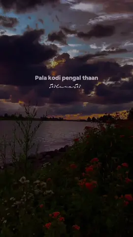 Unakenavae kaathirundhaalae Kaal adiyil vergalum mulaikum🍂 #kadhalvalarthen #kaykaysinger #yuvanshankarraja #manmadhan #lunadesolate 