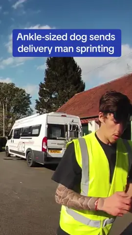 Dog and Postman: I'm just delivering a package! #dailydeliveryman #agility #dogchasing #dogwars #funnypets  