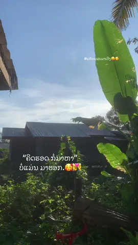 #วิวบ้านนอก🍃 #dance #เทรนด์วันนี้ #ยืมลงสตอรี่ได้🖤🥀 #ฟิดเถอะ😢นะ 