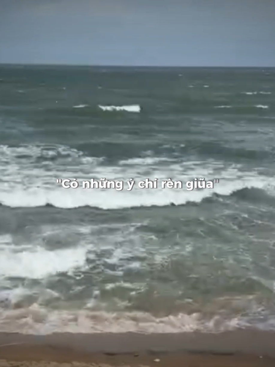 những khoảnh khắc rực rỡ #độchànhmọichuyếnđi #2025 #lonepig02 #59saigon 