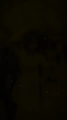 🇻🇳 #RangRoVietNam #CapCut #shinobu 