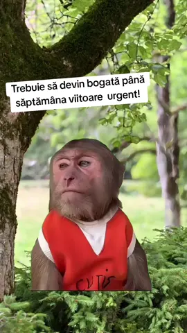 Urgent!!!  #fyp #viralvideos #CapCut #funnytiktok 
