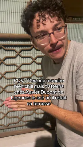 Comme y’a eu Gainsbourg et gainsbarre #meme #humour 