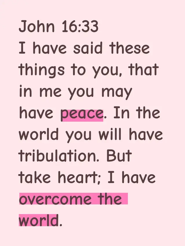 John 16:33 I have said these things to you, that in me you may have peace. In the world you will have tribulation. But take heart; I have overcome the world. #devotion #devotional #morningdevotion #jesus 