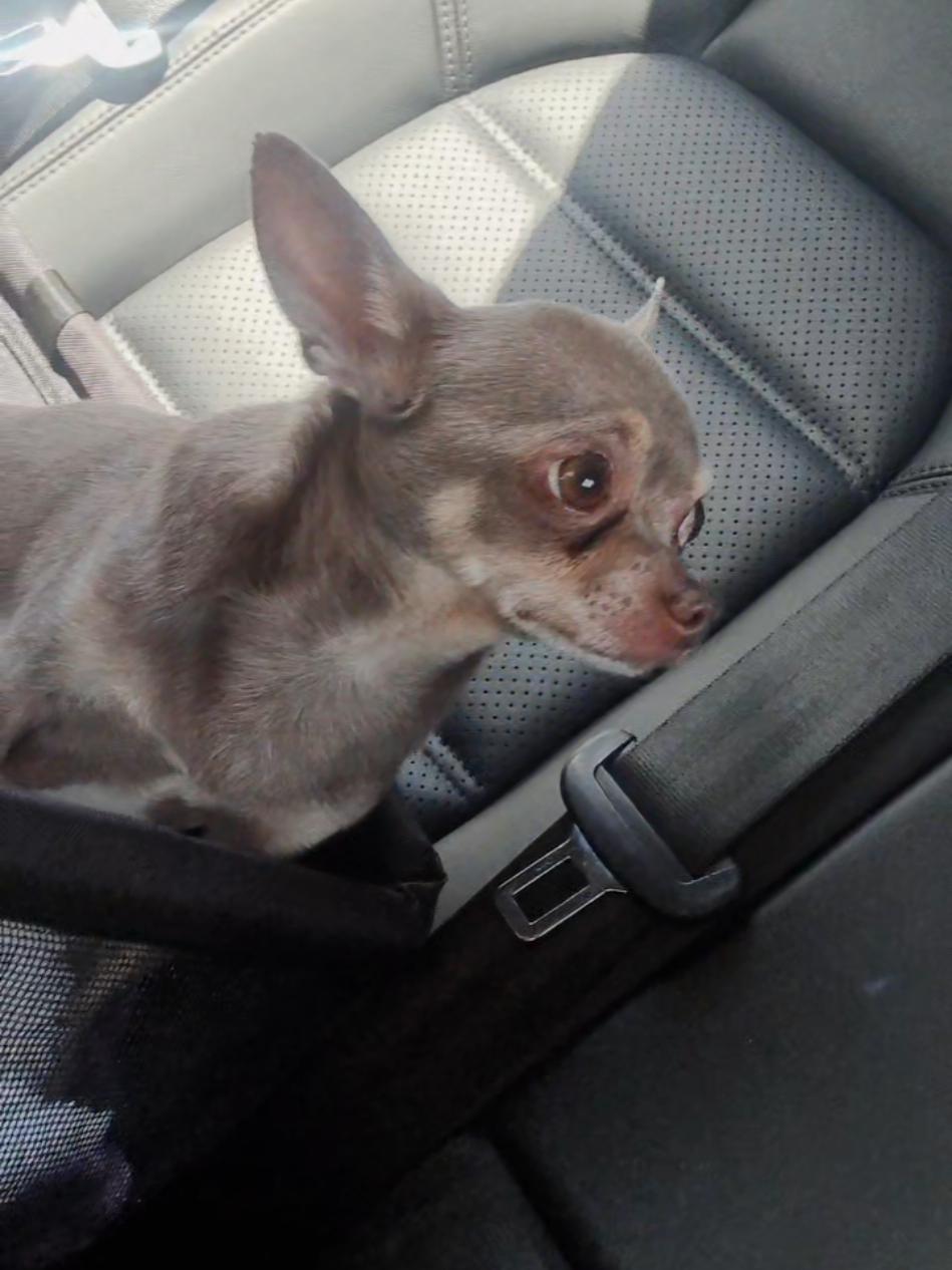 Bugzy on a baseline beat dropping 🔥🔥 Say less. #fyp #teamworkmakesthedreamwork  #fypdong #fypviralシ 