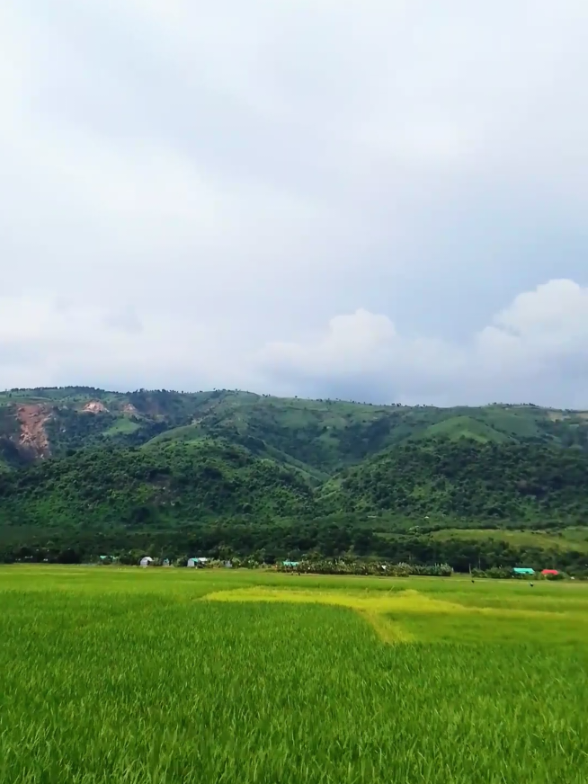 চাঁনপুরের অনেক সুন্দর একটা পাহাড় @For You @TikTok Bangladesh 