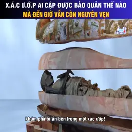 Xác ướp Ai Cập được bảo quản như thế nào các bạn có biết???? #bianthegioi #kienthuclavohan 