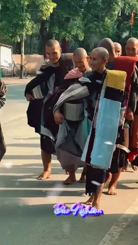 Thầy đẹp quá ạ! A Di Đà Phật 🙏🙏🙏🌹🌹🌹🌹🌹💗💗#adidaphat🙏🙏🙏🌹🌹🌹🌷🌷🌷🌺🌺🌻🌻 #phatphap #phatphapnhiemmau #Thayminhtue #thichminhtue 