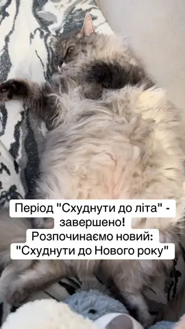 Схуднути до #схуднення #фітнестренер #дієтолог #нутріціолог #правильнехарчування 